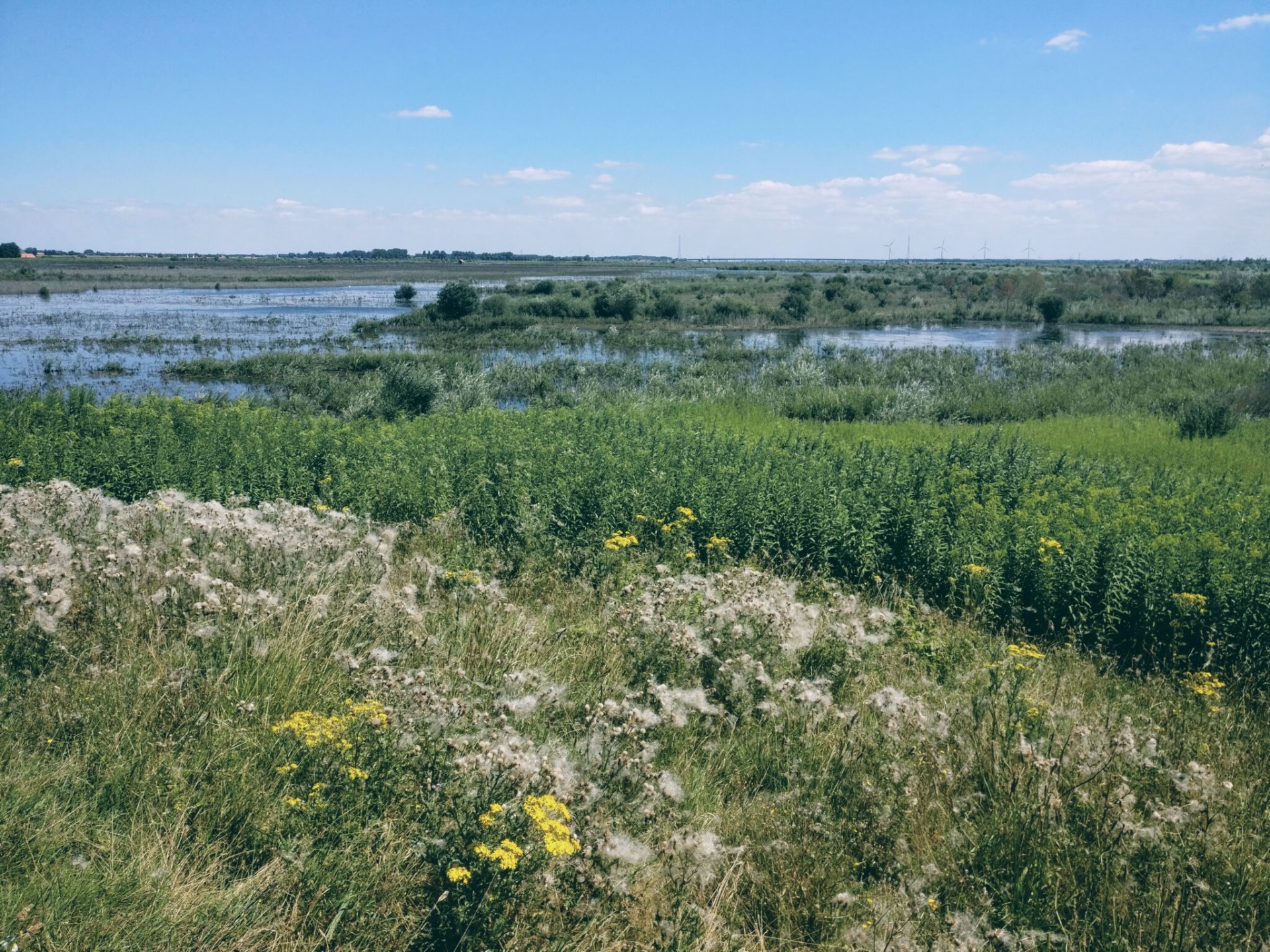 Dit landschap lijkt open en jong, maar is gevormd door eeuwen van water, arbeid en wachten. Wat hier groeit, staat op wat ooit is weggehaald.