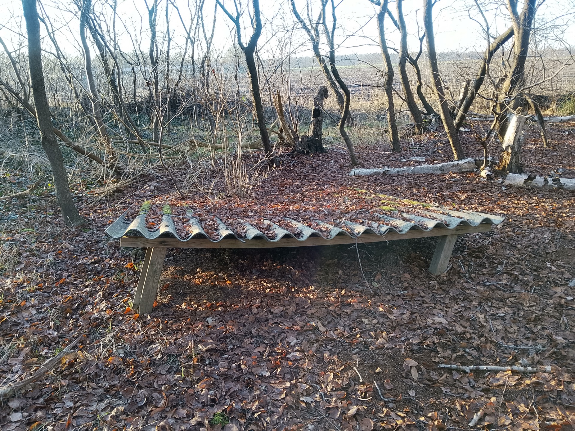Onder dit landschap liggen sporen van gebruik en verplaatsing. Sommige zijn nog zichtbaar, andere zijn later dichtgegooid. Wie langzaam kijkt, ziet wat is gebleven
